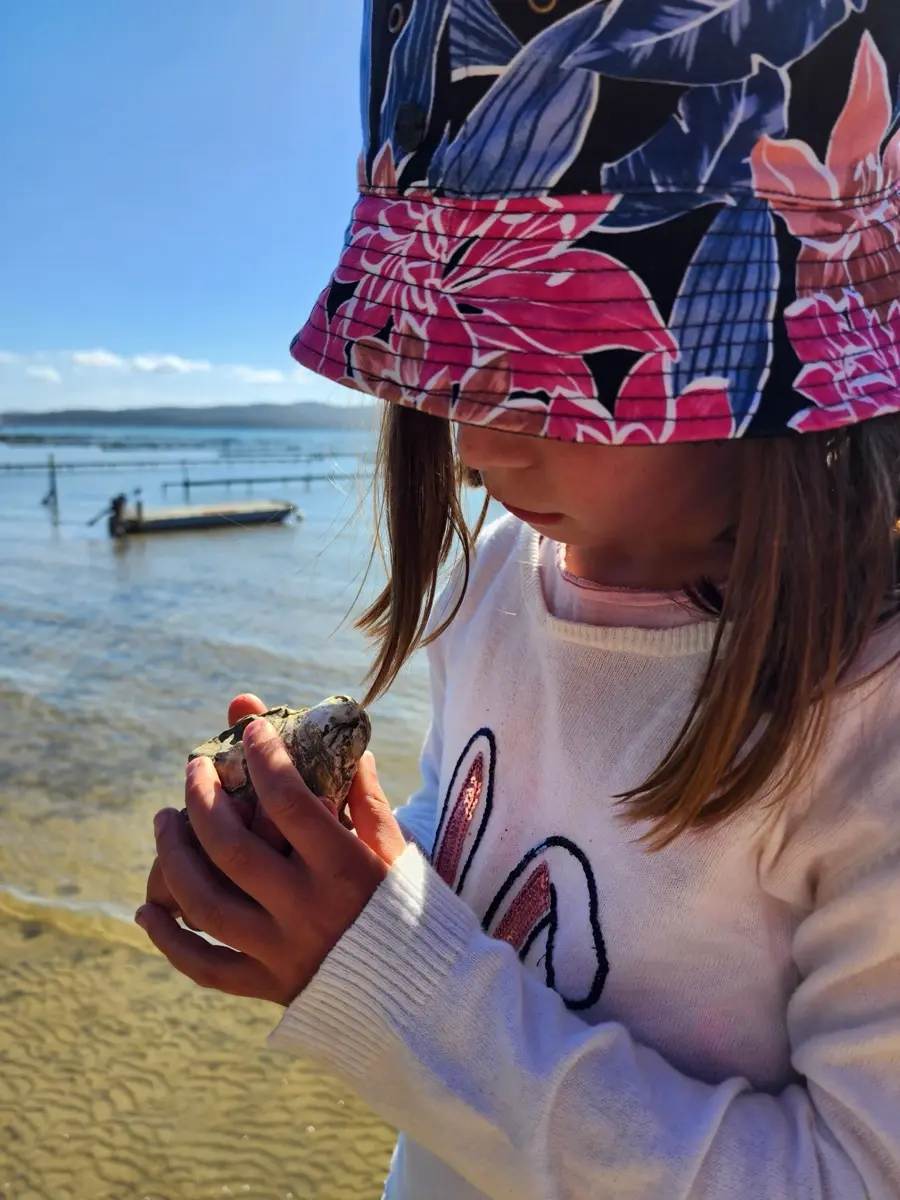 Oysters being shucked on the boat's timber table