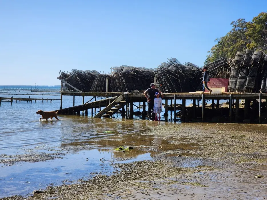 Oyster farmer working the racks on the D'Entrecasteaux Channel